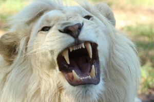 How to Work with Anger: Three Mindful Techniques from ACT